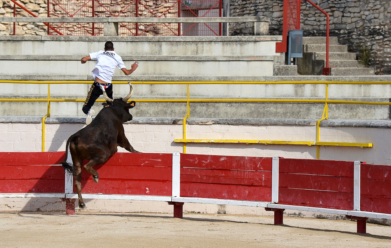 风险职业人