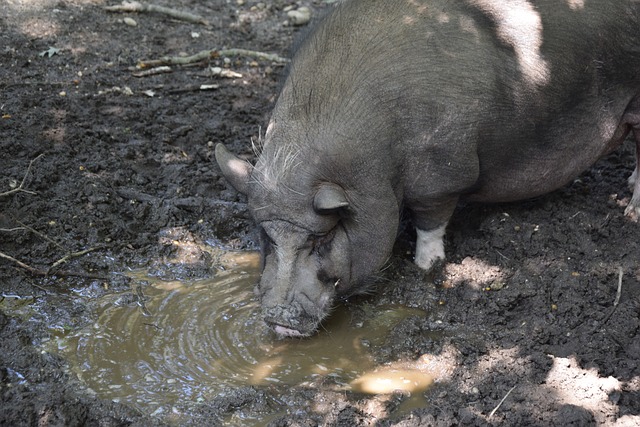 仅缩短了新 仅缩短了新