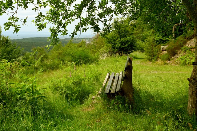 奇的发挥 奇的发挥