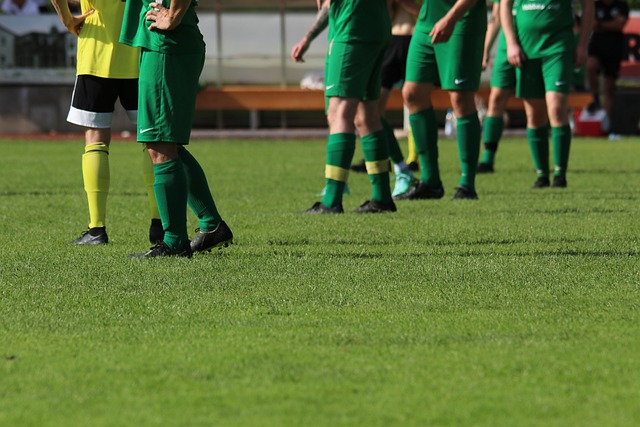 使得替补的 使得替补的