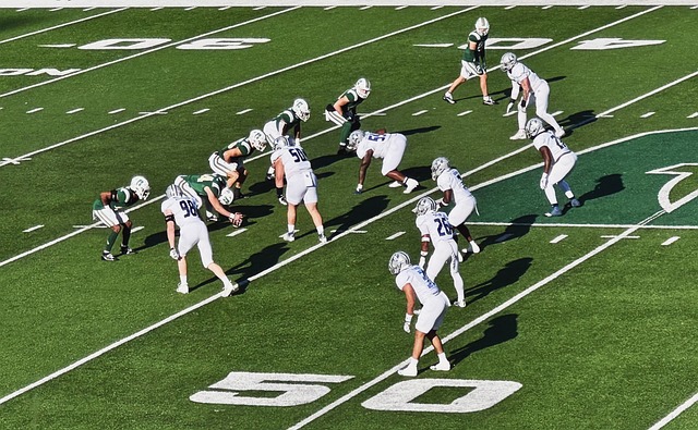 2023女足世界杯丹麥簡介.