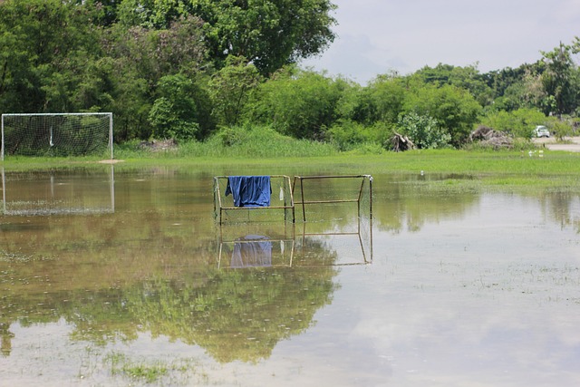 争议！塔图姆决赛制胜暴扣15分压库里 率队夺冠却无缘全明星MVP.
