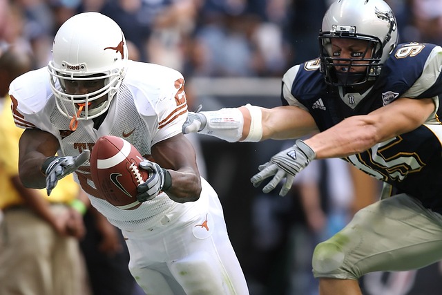 他以速度敏 他以速度敏