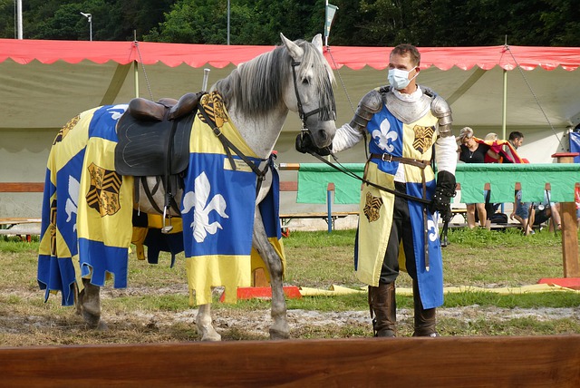 的战术实施 的战术实施