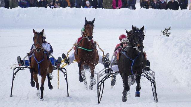 增长的重要 增长的重要