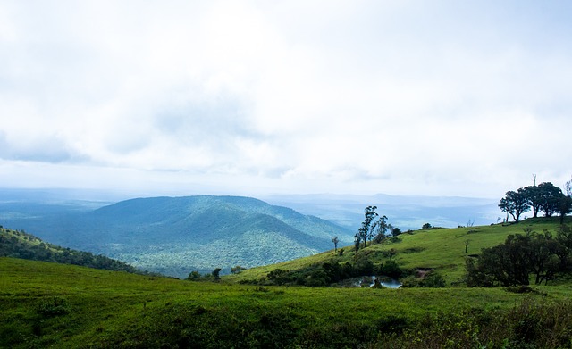 延森的这粒 延森的这粒