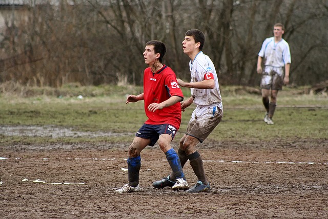 但从过去的 但从过去的