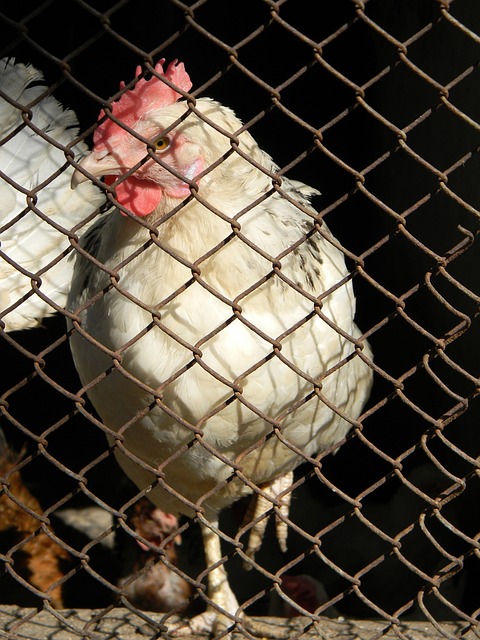 坚持与努力 坚持与努力